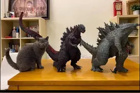 梗图合集：哥斯拉进化史图片