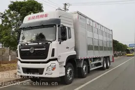 天龙前四后八畜禽运输车图片