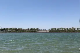 阿里中原总部设在北龙湖北岸？现场考察逻辑推理极有可能……图片
