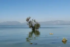 仗剑纵马走天涯图片