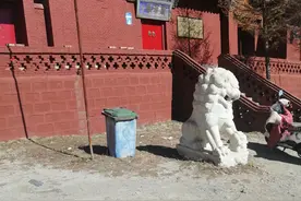 单朝北台  与狐狸结下善缘图片
