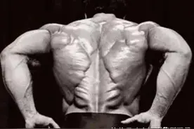 李小龙的“背部圣诞树”，究竟怎么形成图片