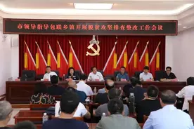 呼和浩特市人大常委会主任云建东前来和林格尔县包联乡镇调研脱贫攻坚排查整改工作推进情况图片