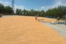 农村土地确权，确权不确地，是否可行？图片