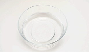 10000个透气孔把汗液治得服服帖帖？这款冰肤抗菌T恤定价真国货