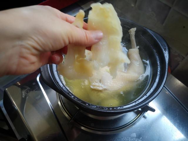 花胶海参鸡汤 花胶海参鸡汤的做法