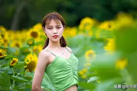 28字摄影口诀，破解向日葵人像5个拍摄难题！别犹豫，收起来图片