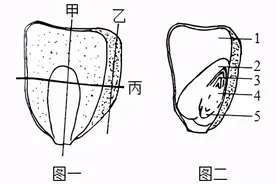 临沂费县2019年八年级生物一轮验收试题，含有答案图片
