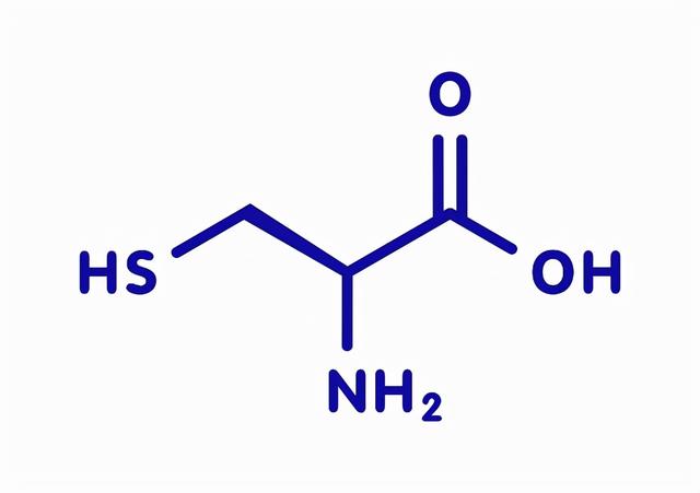 植物必需元素之桥键元素