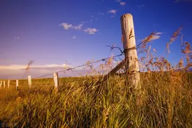 乡村酒神：年轻时一顿能喝三斤酒、卸十车煤，人到中年成了酒蒙子图片