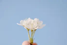 拿下一个女人最有效的办法：门槛效应图片