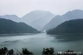 黑河记事——《观刈麦》图片