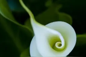 善穿衣者健康多图片