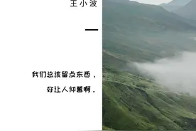 《一只特立独行的猪》十句经典句子图片
