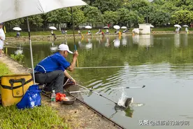 哪些淡水鱼有毒？钓这几种淡水鱼时要小心，因为它们的鱼鳍上有毒图片
