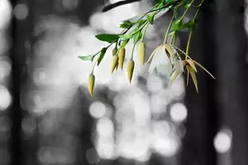 心理学：总喜欢欺负“亲人”，讨好外人的人，存在这三种不良心态图片