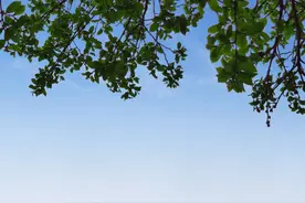 外向的孤独患者自我拉扯：我永远值得被爱图片