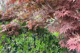 怎样做一个有智慧的婆婆图片