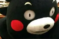 让男朋友越来越爱你的五大秘密法则图片