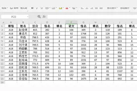 表格技巧—Excel高级筛选怎么用图片