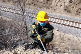 铁路人对这些“危险分子”出招了！图片