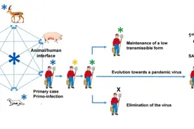 新冠病毒起源于墨江矿洞？法国新研究否认了图片