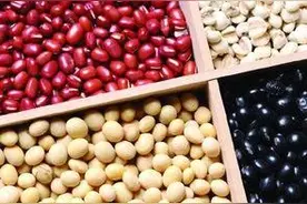 豆子种类多，你分的清哪些是大豆，哪些是杂豆吗？它们营养有区别图片