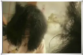 宝妈吐槽女儿洗头“墨迹”，看见孩子的头发，网友：这发量我酸了图片