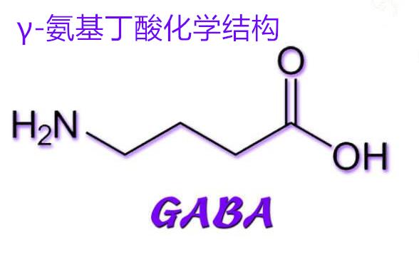 营养功能成分每日一讲：γ-氨基丁酸