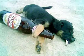 故事：好喝酒的李老四图片