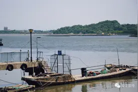 寻味濠江 | 蒂蒂香达濠鱼丸：濠江边上的美味图片