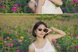 超美！七彩花海！就在柳州市内！快来打卡吧图片