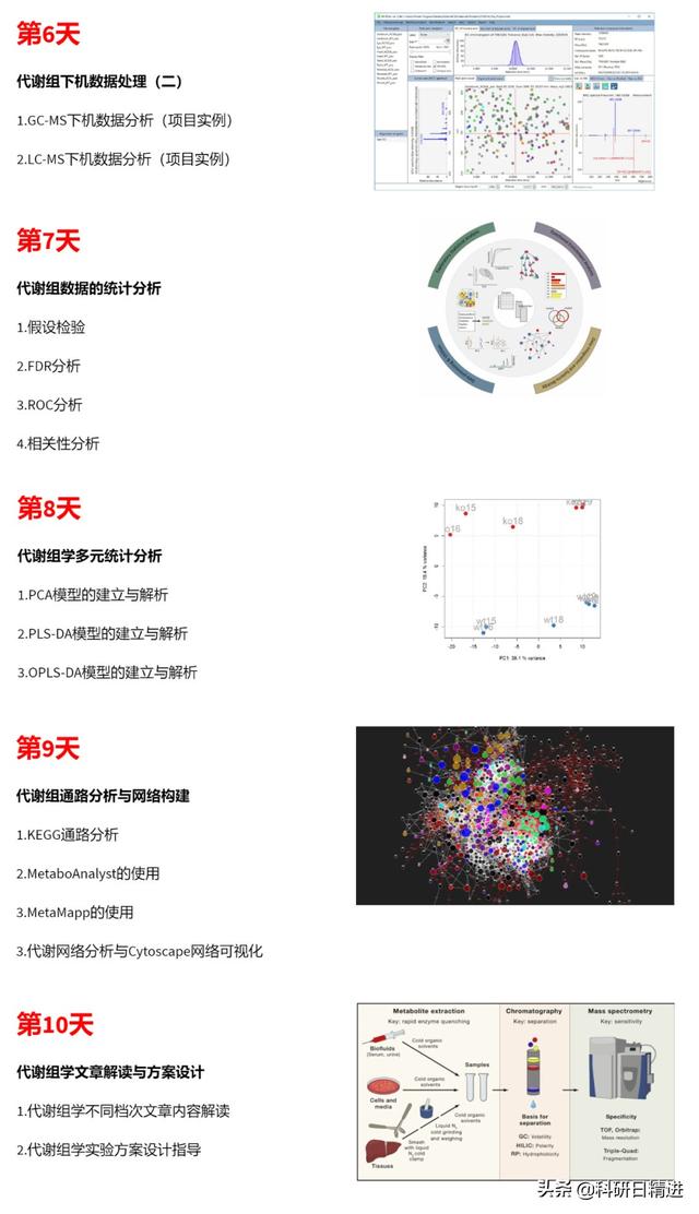 直播课：代谢组学数据分析与应用--核心技术、项目实例