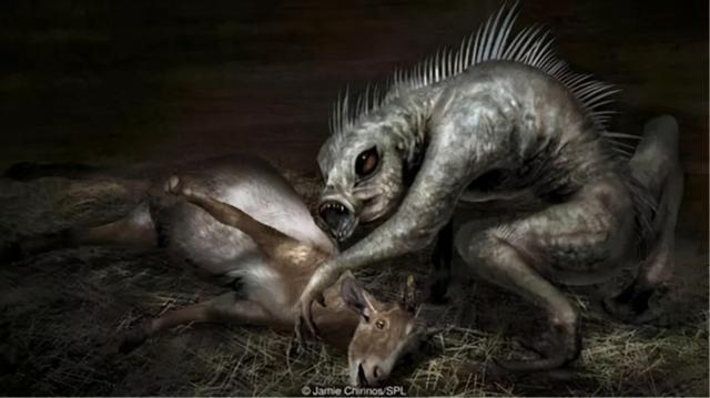 吸血怪兽卓柏卡布拉(吸血怪兽卓柏卡布拉真的存在吗)-第2张图片