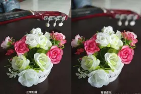 手机如何拍出虚化效果？这3个方法很简单，拍出单反级效果图片