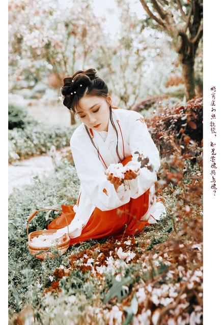 花落花飞花满天下句是什么（黛玉下联花谢花飞花满天请才子佳人妙对）