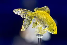 日本小哥花十年，把糖做成了艺术品！百万网友追捧，美到不忍下嘴图片