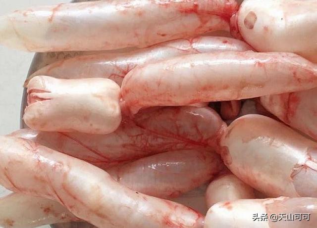 草鱼鳔的做法大全集 草鱼鳔的做法大全集窍门