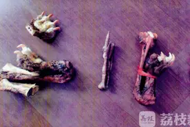 虎爪虎鞭竟“姓牛”多名老板上当受骗图片