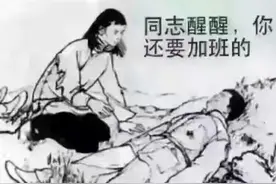 驴子和猫的故事图片