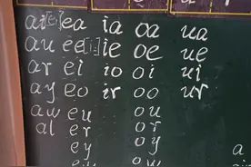 来讨论一下，小学的英语是怎么入门的？图片