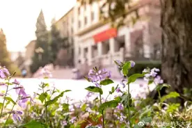 保研经验：排名13/131，六级594，预推免逆袭顶尖985名校图片