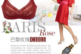 几十和几百元的内衣到底有哪些差异图片