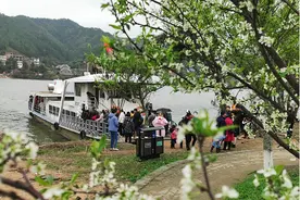 赣县桃花岛上花儿绽放 游人如织踏青赏花图片