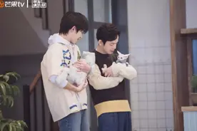 晒爱猫频上热搜，千禧年出生的“四字弟弟”，果真让人不负所望图片