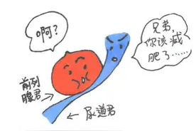 前列腺就是男人的生命线！做好这些事情，帮你远离“男炎”之隐图片