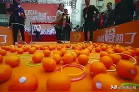 周六约起！龙岩上杭这里有吃有玩有采摘，还有20万大礼包图片