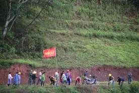 景东安定今年将种10万株杉树，让大地绿起来！让人民生活美起来！图片