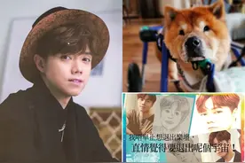 张敬轩爱犬离世心情差 向粉丝发火 要退出宇宙图片