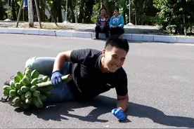 今朝更好看｜一个人能搬50串香蕉？贵州这里的蕉农有“外挂”图片